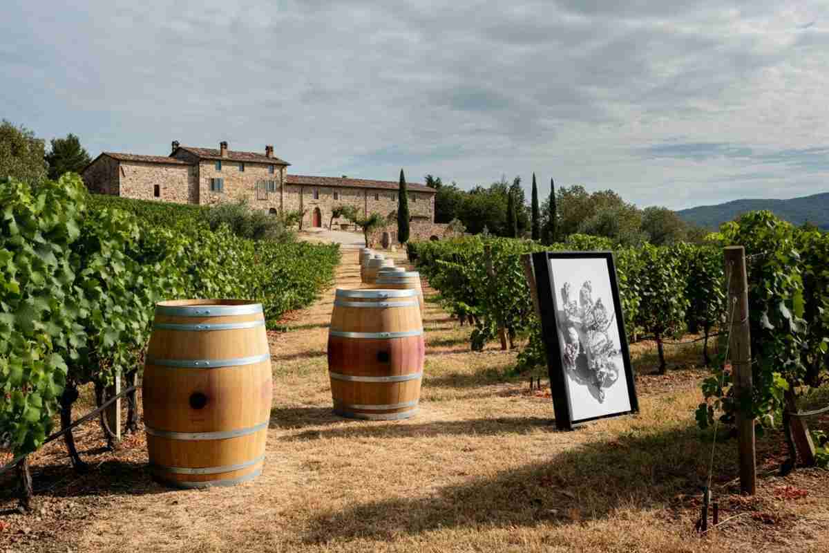 L'arte del vino: scopri MetodoContemporaneo, il nuovo osservatorio delle cantine-museo d'Italia