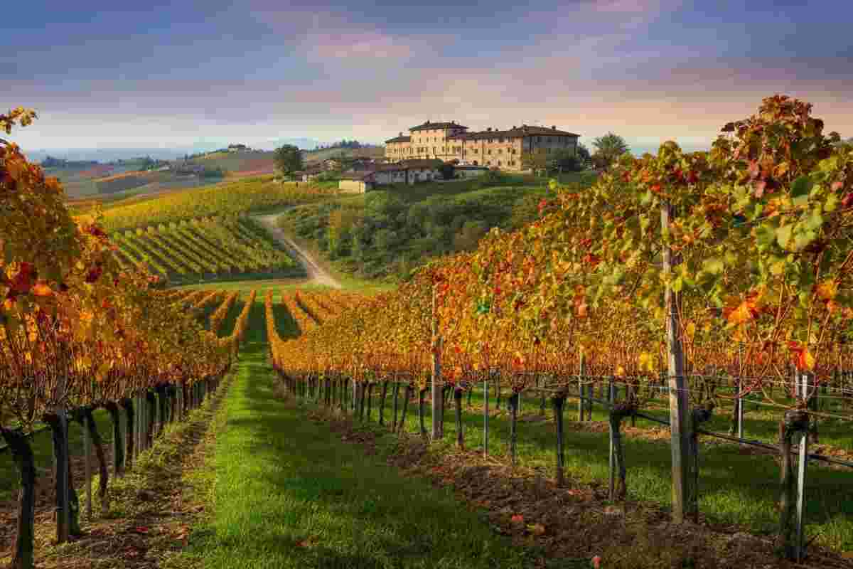 L'astemia: liberarsi dai rimpianti e abbracciare uno stile di vita consapevole