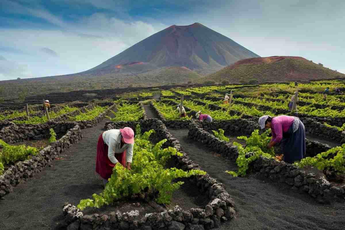 Le donne del vino dell'Etna: storie di passione e tradizione vulcanica