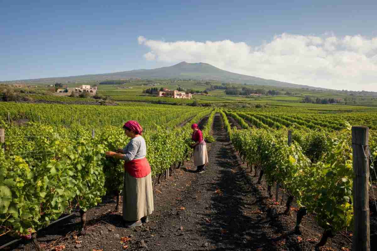 Le donne del vino dell'Etna: storie di passione e tradizione vulcanica