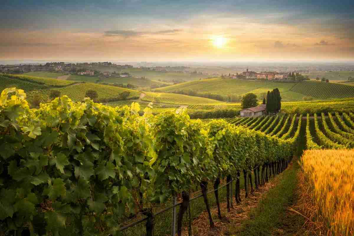 Lombardia: un semestre di successi per l'agricoltura e il vino promette un futuro brillante