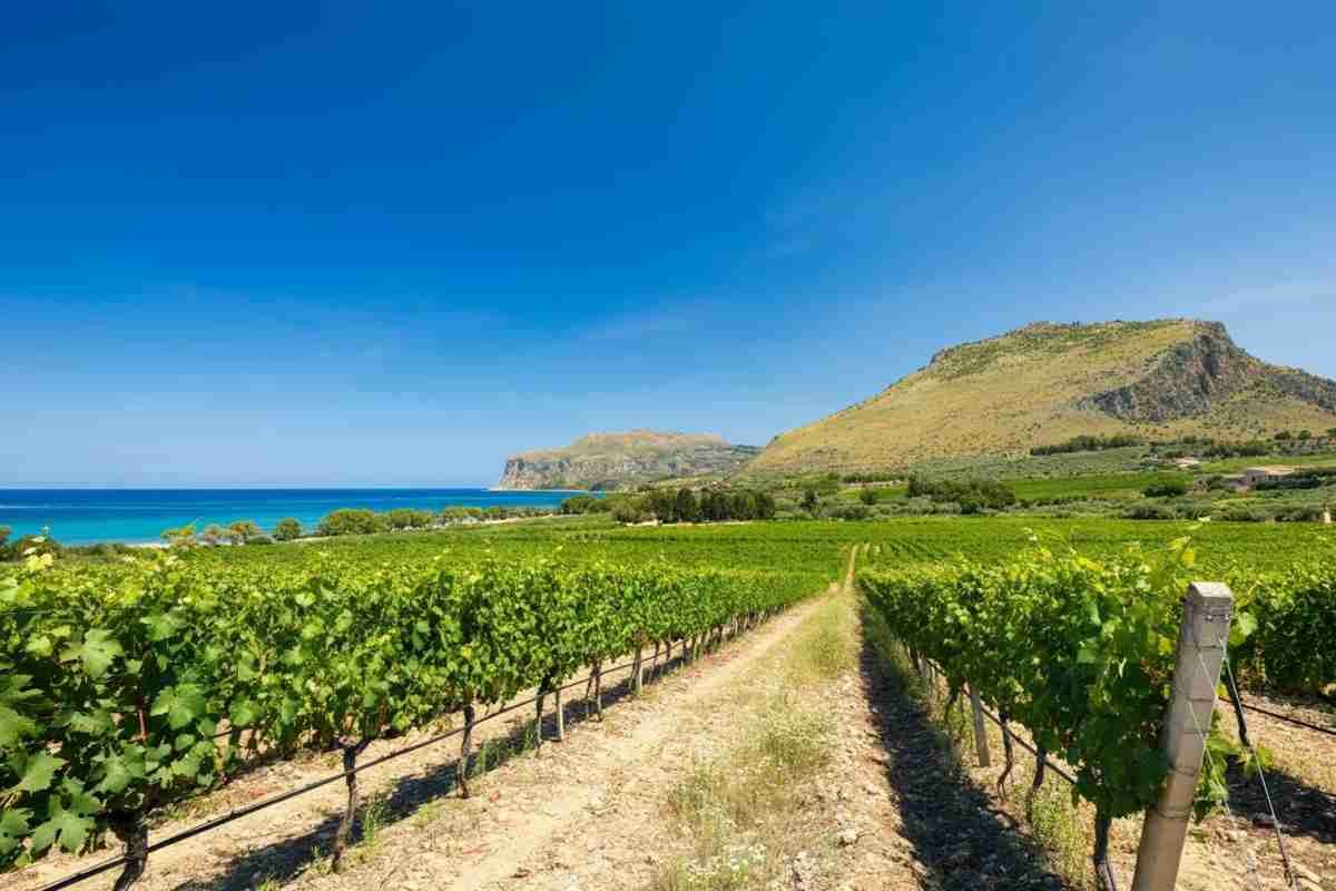 Menfi: un viaggio tra mare, natura e tradizioni uniche