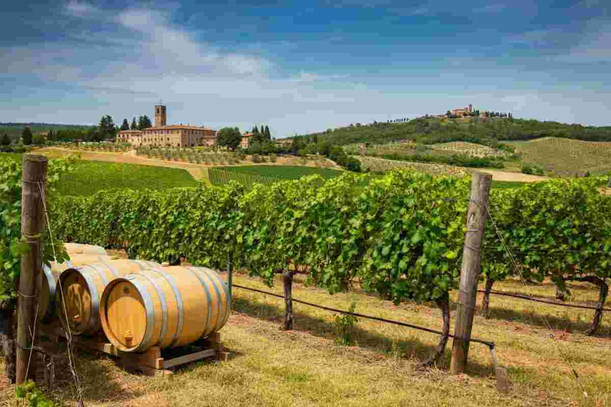 Montalcino: il segreto del Sangiovese svelato