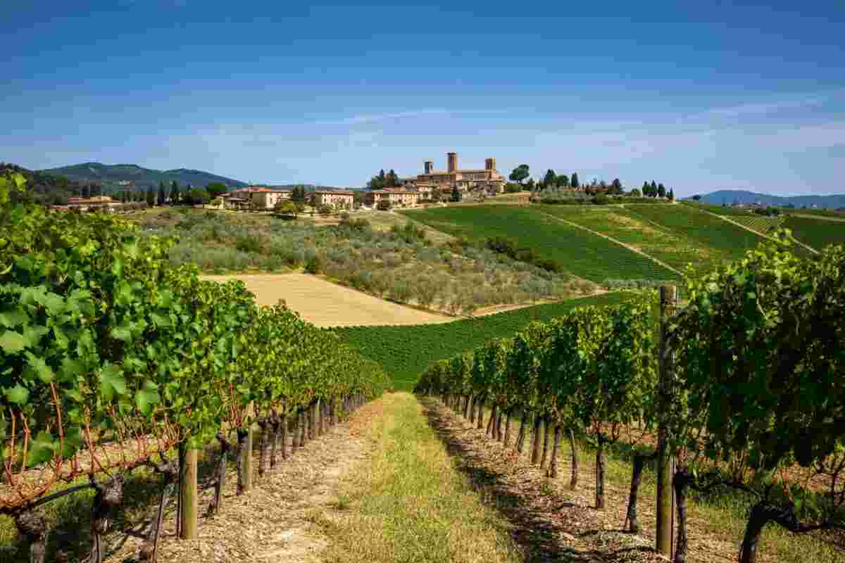 Montalcino: il segreto del Sangiovese svelato