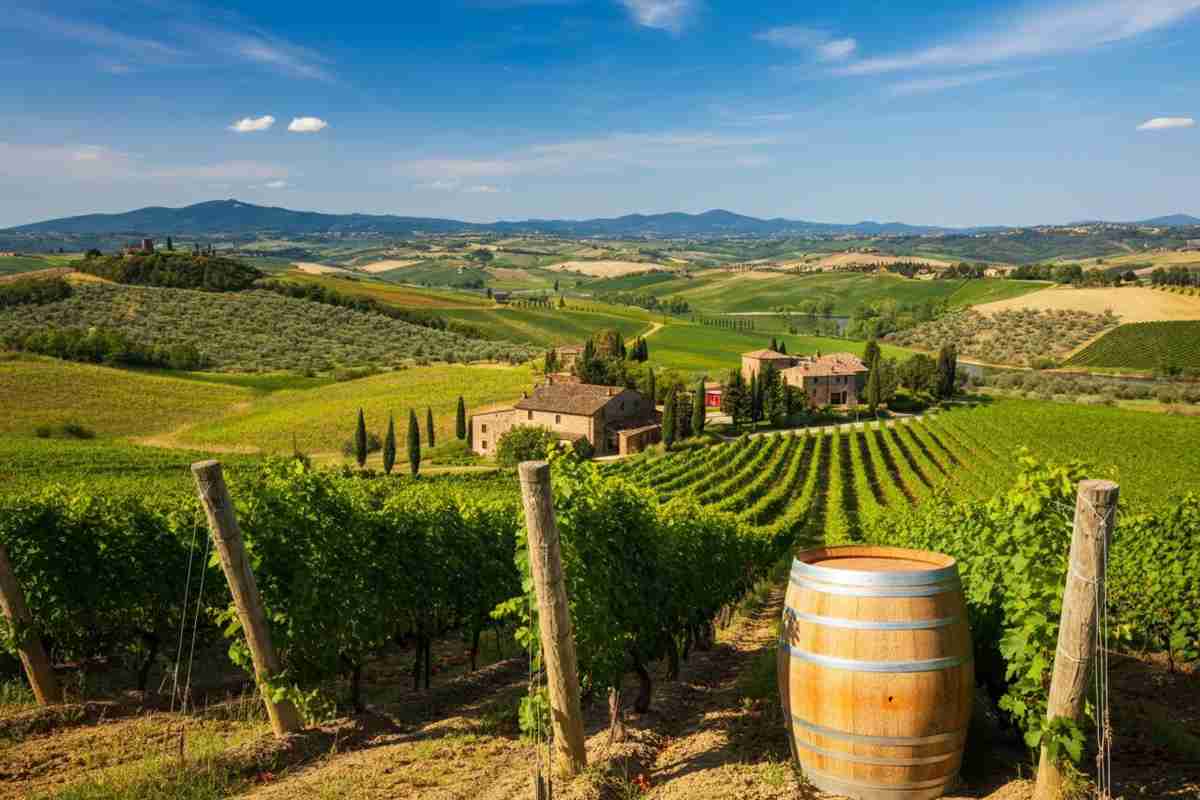 Montecucco resiste: il parco eolico minaccia paesaggio e economia rurale