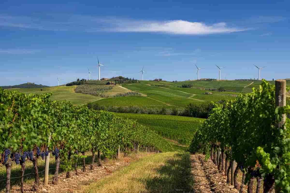 Montecucco resiste: la battaglia contro il parco eolico di Arcidosso