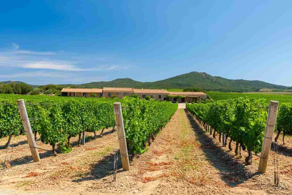 Nuove nomine che rivoluzionano la Cantina di Serdiana