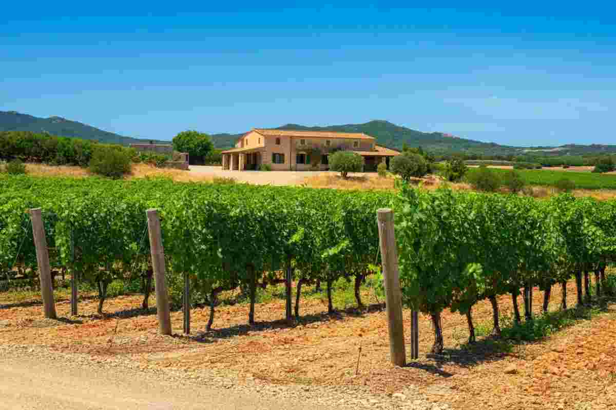 Nuove nomine che rivoluzionano la Cantina di Serdiana