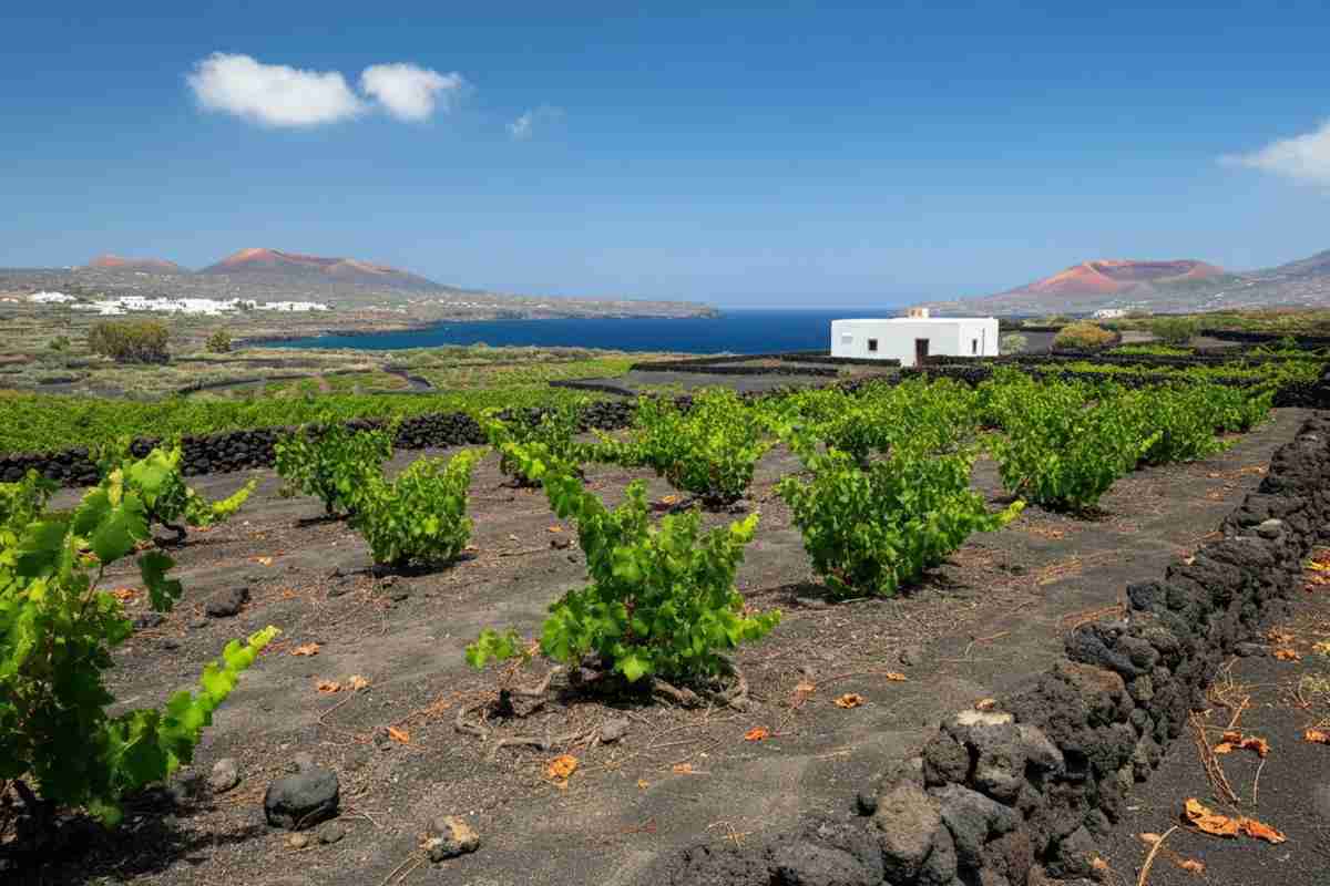 Pasqua Vini e Carole Bouquet: un connubio d'arte e gusto a Pantelleria