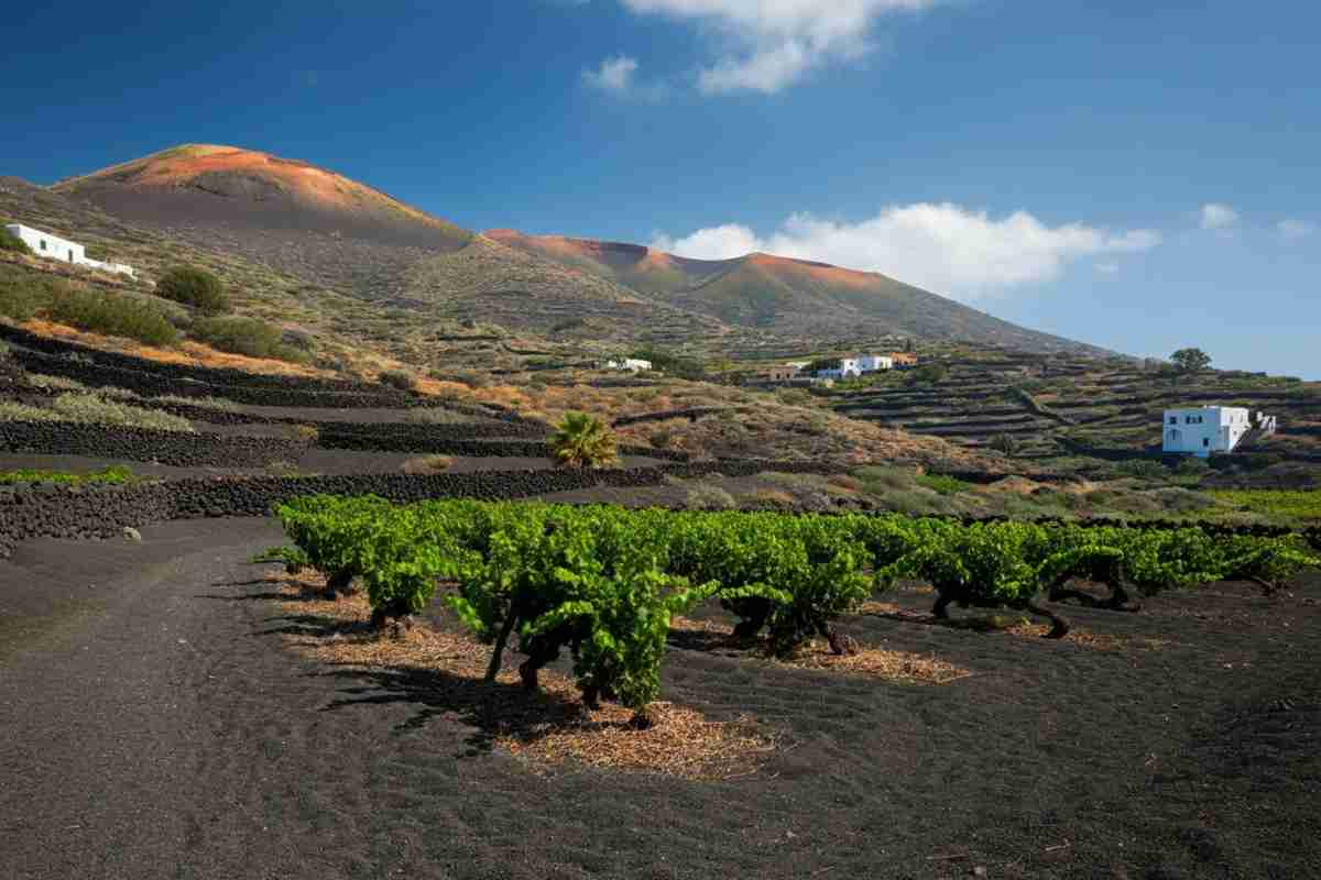 Pasqua Vini e Carole Bouquet: un connubio di gusto e bellezza a Pantelleria