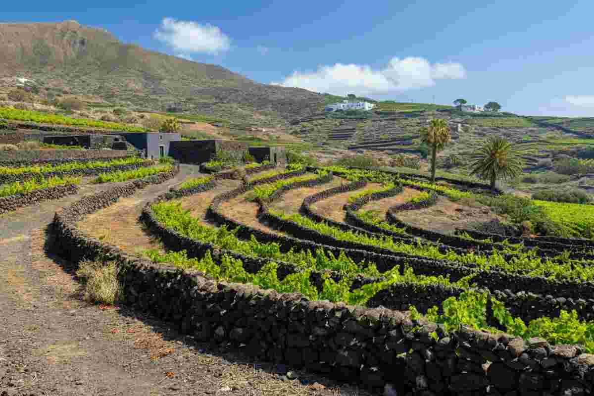 Pasqua conquista Pantelleria con il progetto vinicolo di Carol Bouquet, musa di Chanel