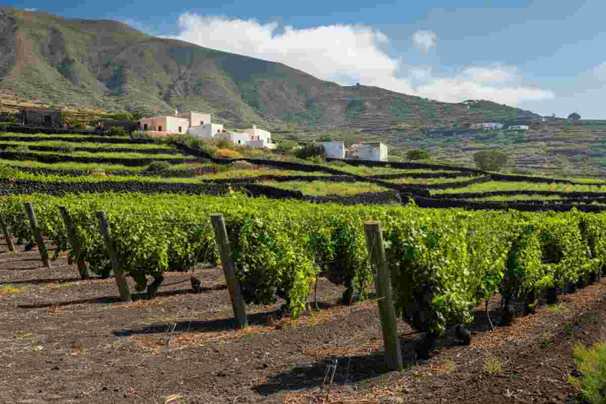 Pasqua e Carol Bouquet: un connubio enologico a Pantelleria