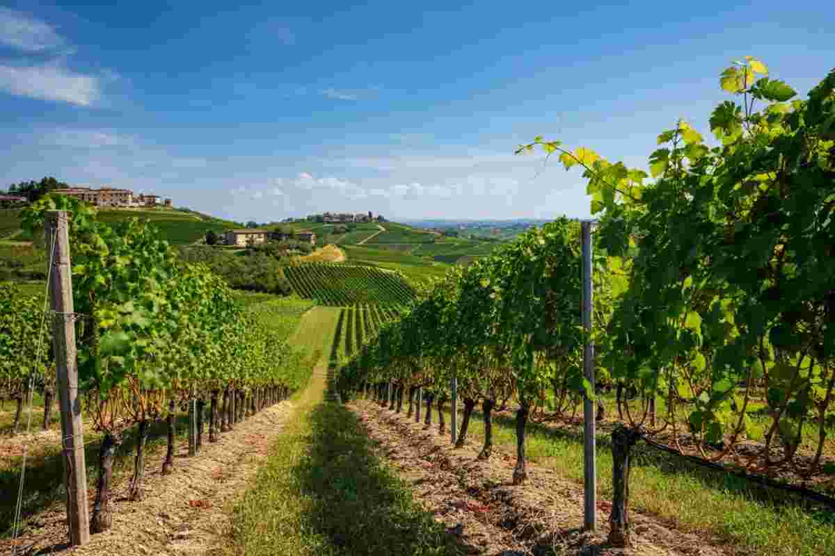 Premio Collio: il riconoscimento per il miglior storytelling digitale del territorio