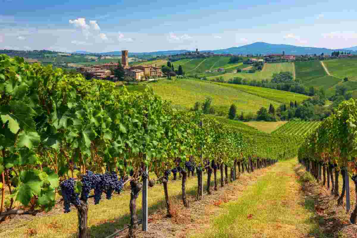 ProViMu: un'innovativa iniziativa prende vita nel Mugello