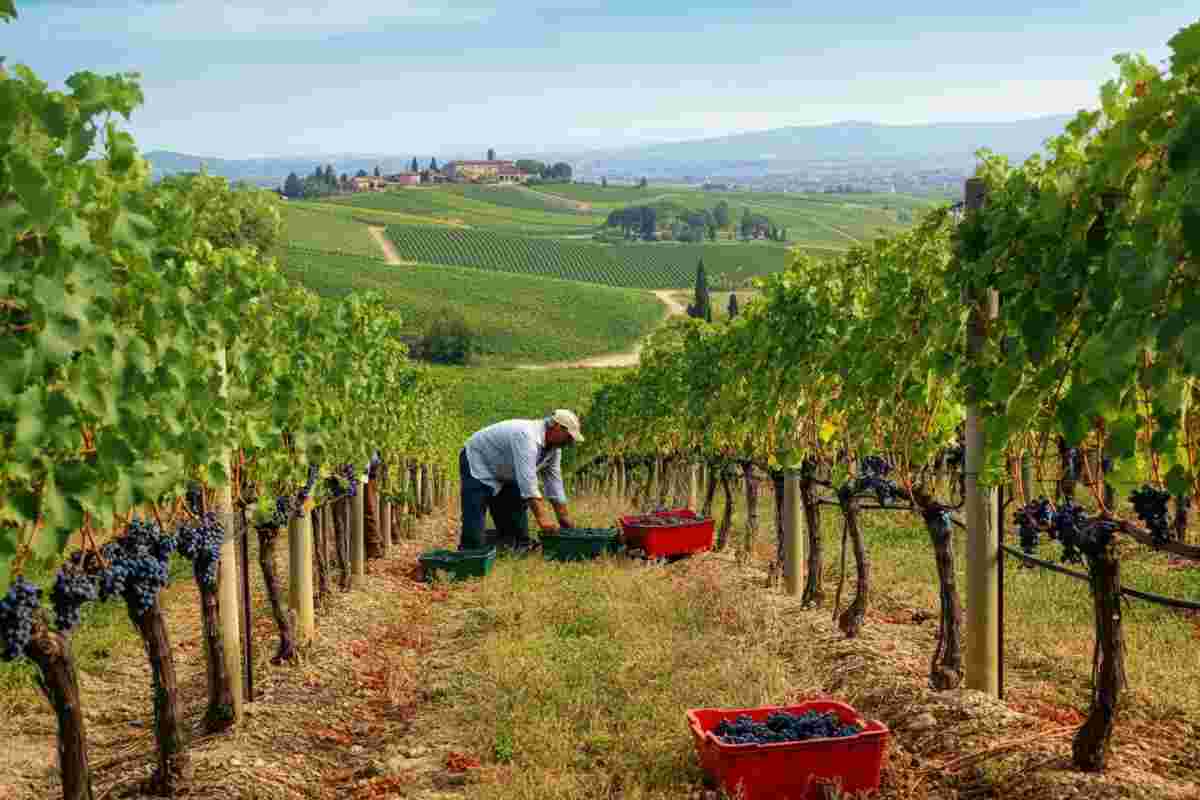Prosecco in ascesa: +178% di vendite negli USA in sette anni