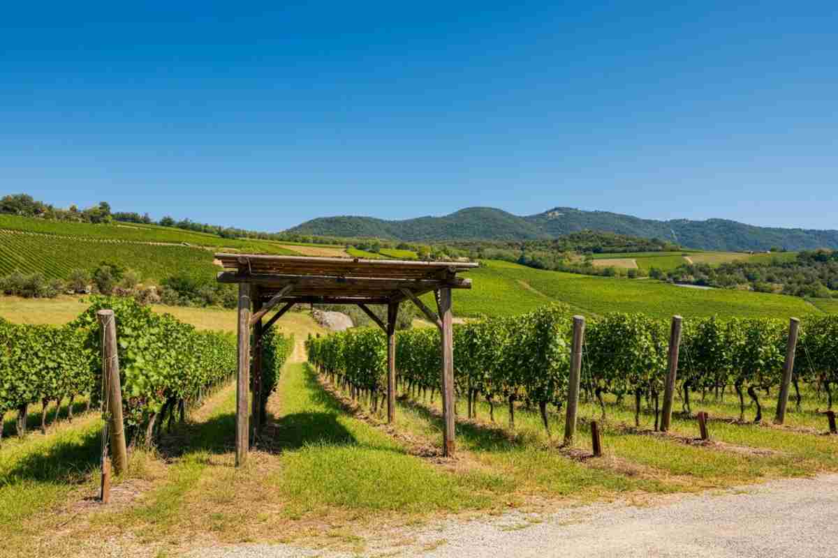 Rebellis: il nuovo solaris di Gianni Tessari che rivoluziona il settore