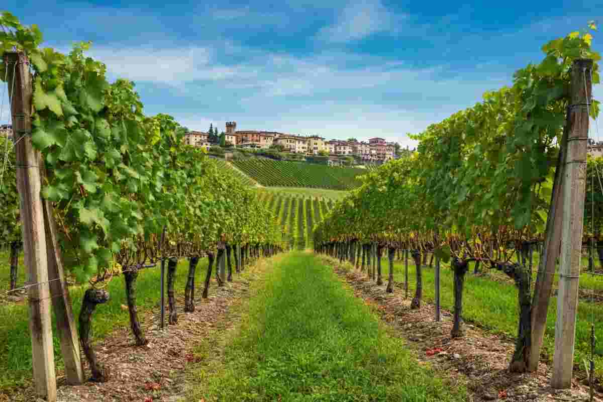 Rebellis: la nuova era del solaris secondo Gianni Tessari