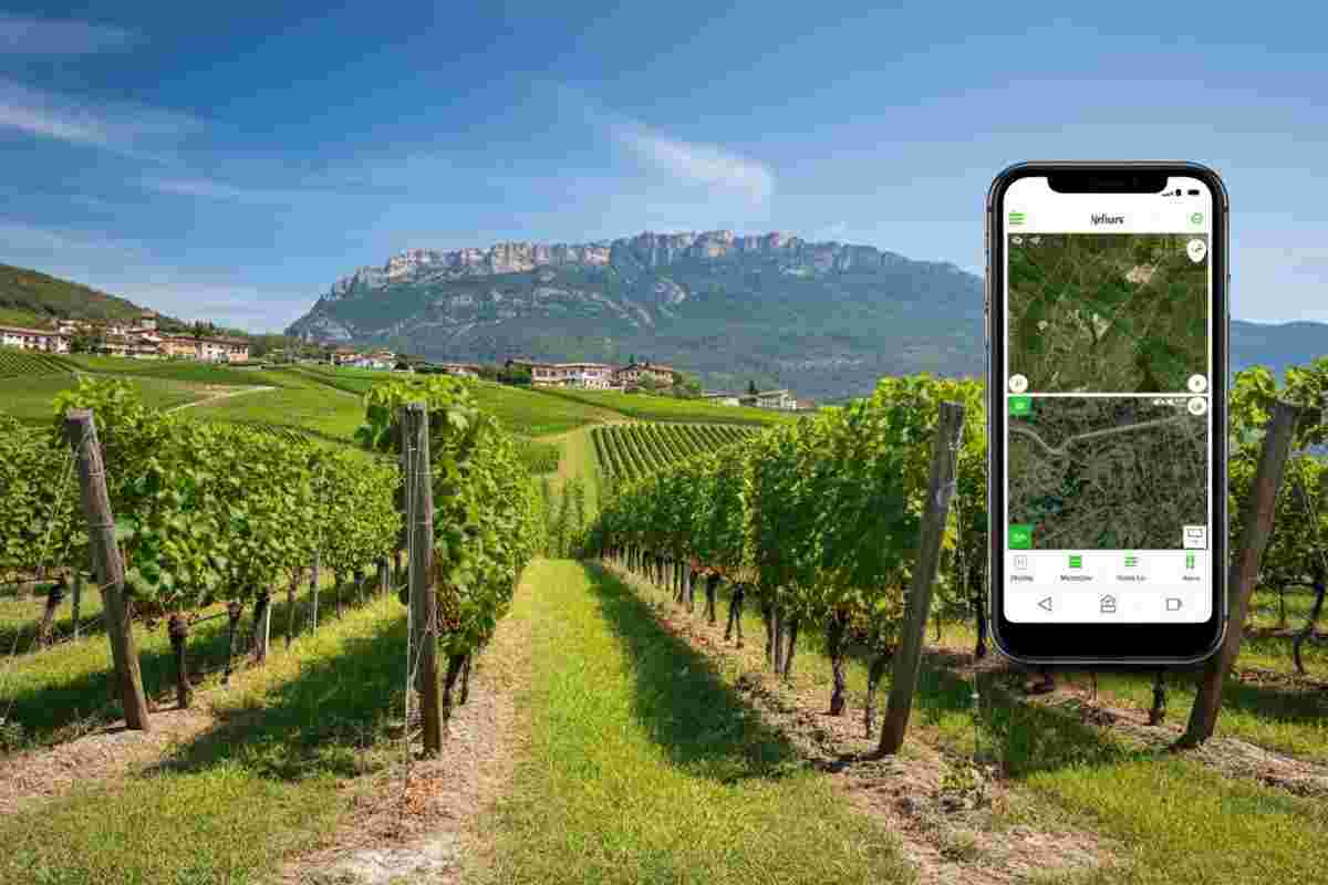 Resasmart: scopri la vendemmia predittiva direttamente sul tuo smartphone
