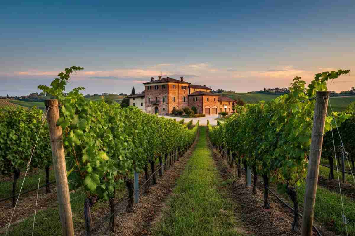 Riconoscimento del Consorzio del Nizza Docg: un passo verso l'eccellenza vinicola per il 2026