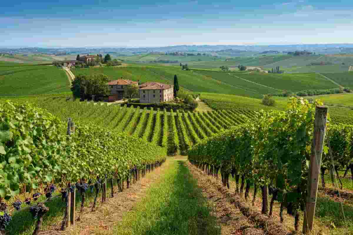 Riconoscimento in arrivo per il Consorzio del Nizza Docg: un passo importante per il vino italiano