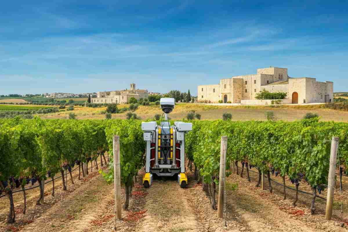 Riscoprire il vino del Neolitico: tradizione e innovazione si incontrano in Puglia con Roberto Giacobbo