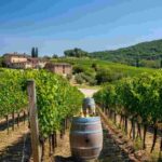 Riscoprire la natura: l'intervista a Angiolino Maule