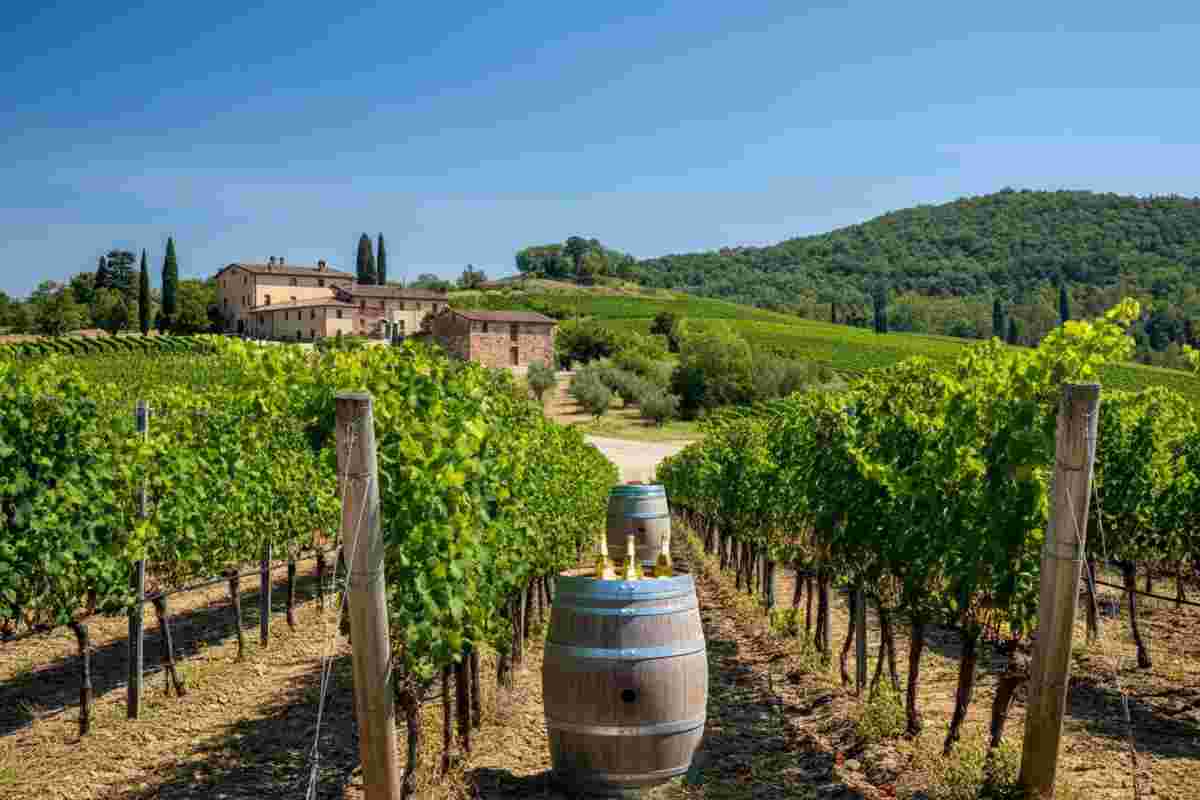 Riscoprire la natura: l'intervista a Angiolino Maule