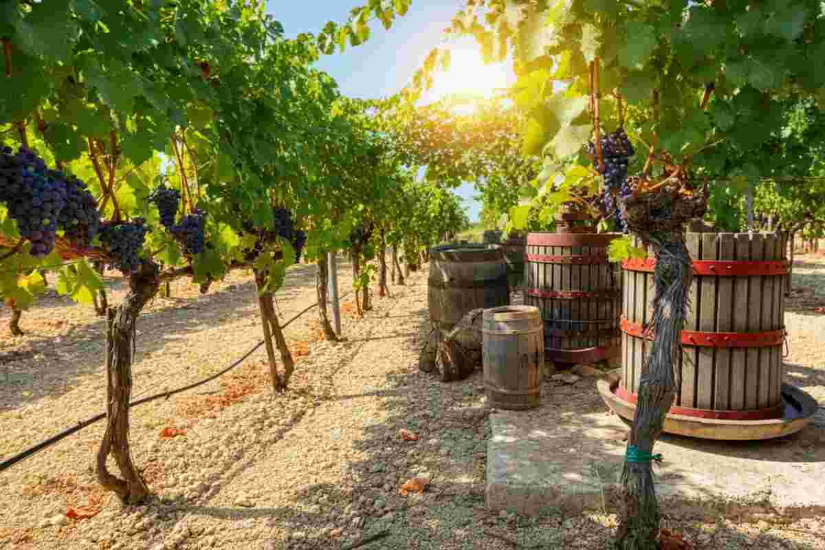 Roberto Giacobbo: Torreclava, un'esperienza gastronomica da non perdere