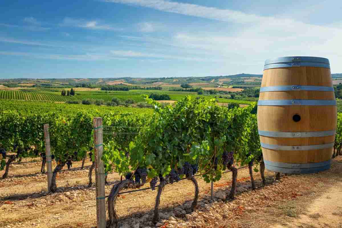 Roberto Giacobbo svela il Neolitico: non solo pietra, ma anche vino di famiglia