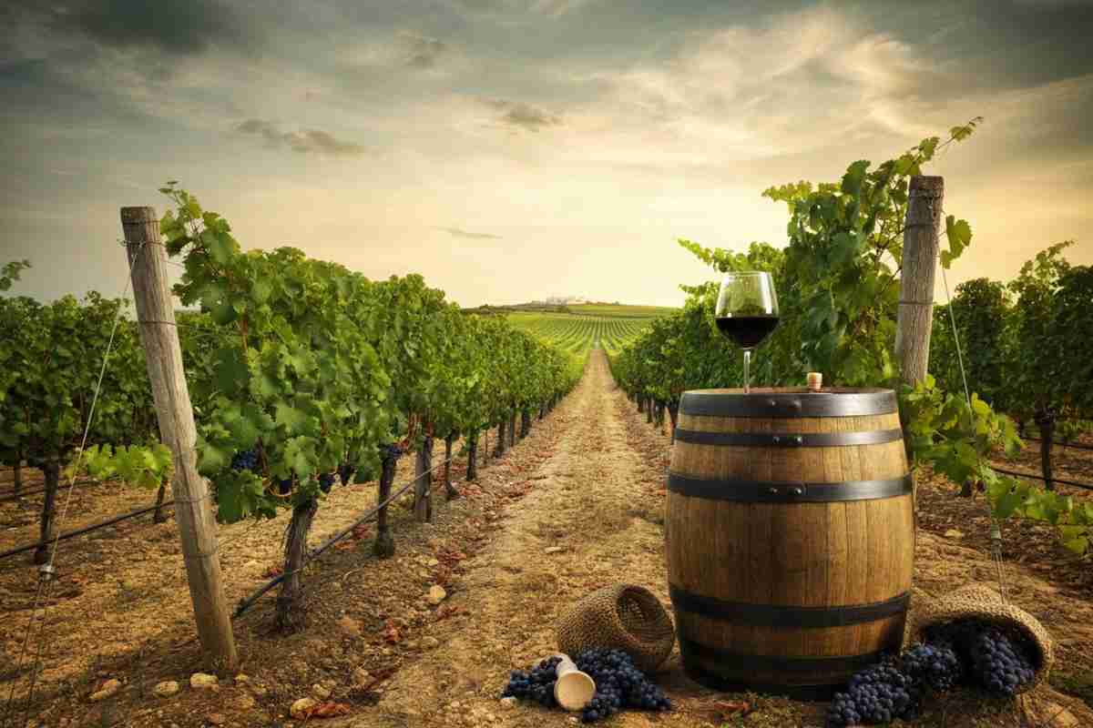 Roberto Giacobbo svela il Neolitico: una storia di vino e tradizioni familiari