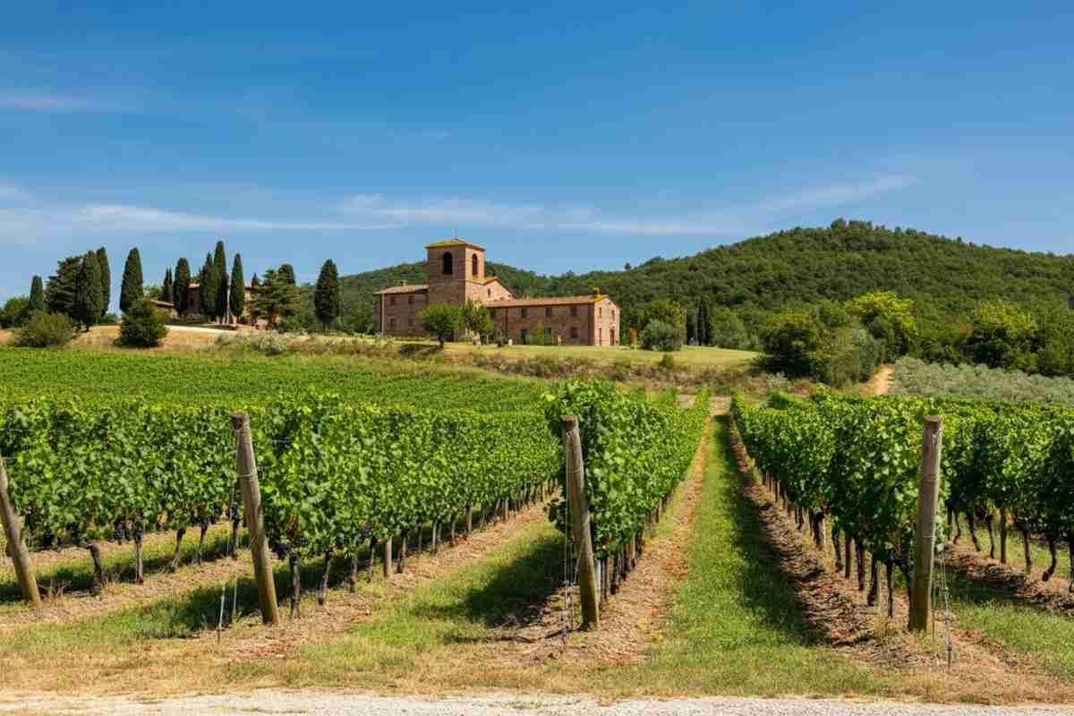 Rossi riconfermato alla presidenza del Vino Nobile di Montepulciano: un futuro promettente per il vino toscano