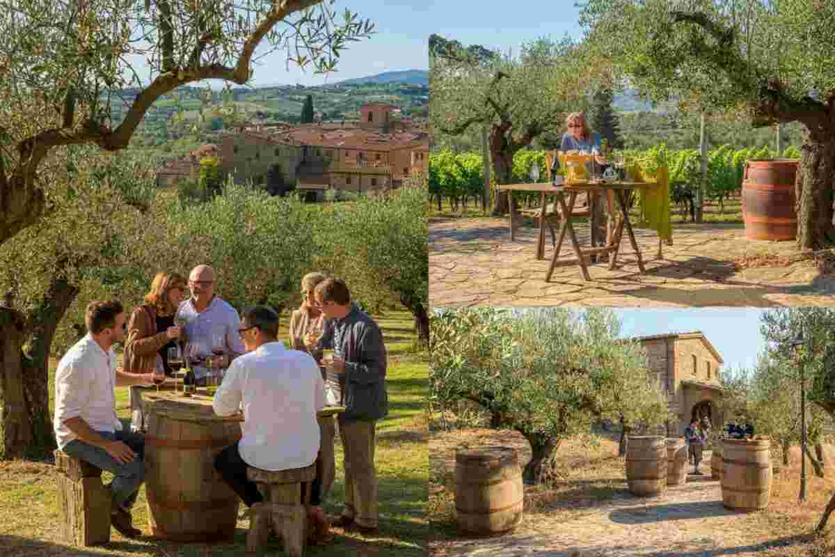 Scoperta l'alleanza tra vino e olio: il Patto di Spello dà il via all'eno-oleoturismo
