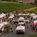 Scopri i tesori del Valtidone Wine Fest: un viaggio tra vini e sapori unici