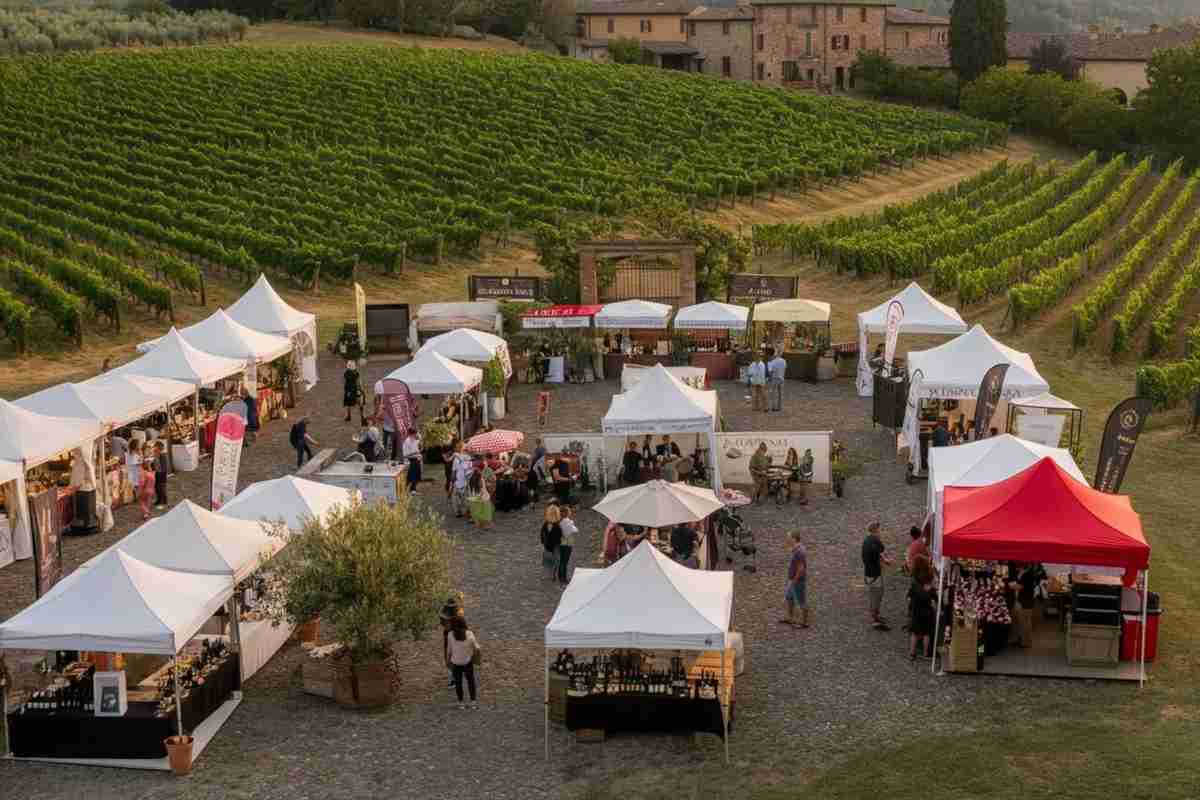 Scopri i tesori del Valtidone Wine Fest: un viaggio tra vini e sapori unici