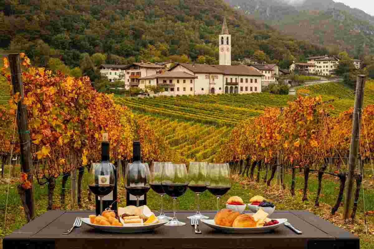 Scopri il connubio perfetto tra vino e musica: Incontri Rotaliani e Jazz&Wine of Peace sul Collio