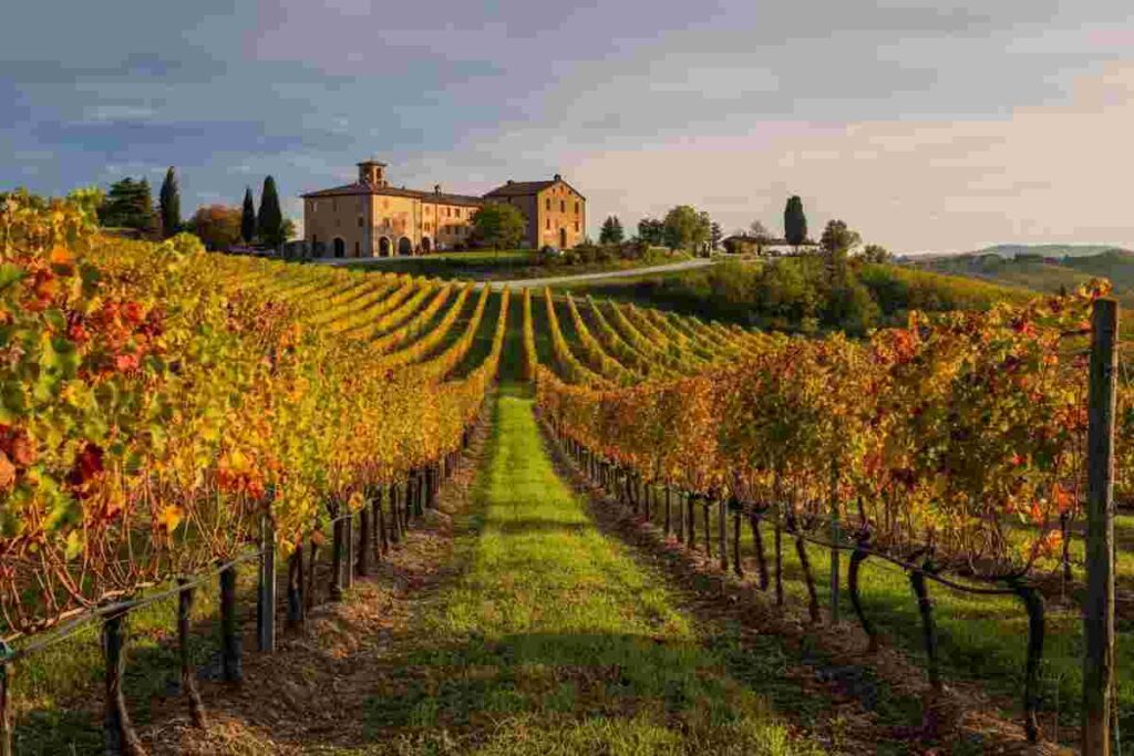 Scopri il nuovo FINE #WineTourism Marketplace: il futuro dell'enoturismo in Italia