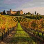 Scopri il nuovo FINE #WineTourism Marketplace: il futuro dell'enoturismo in Italia