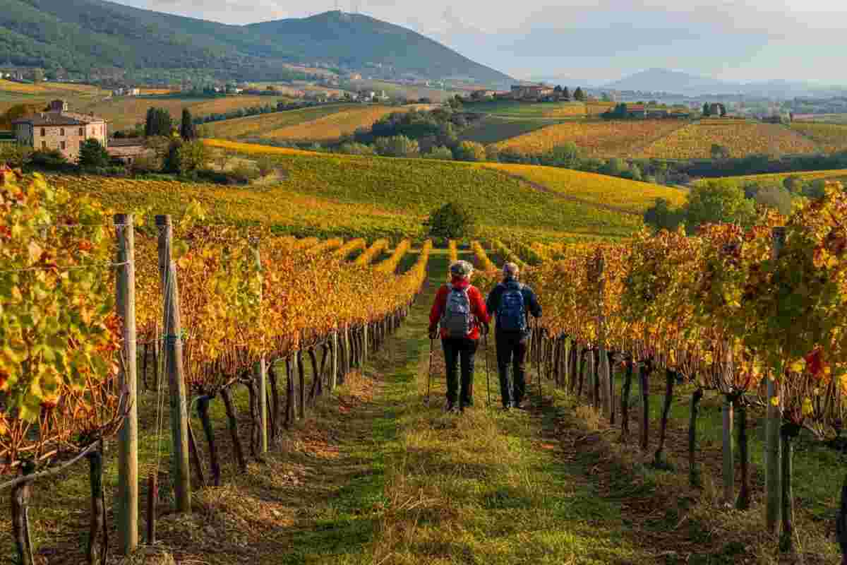 Scopri l'Umbria Wine Trekking 2025: un'avventura tra vigneti e colline d'autunno