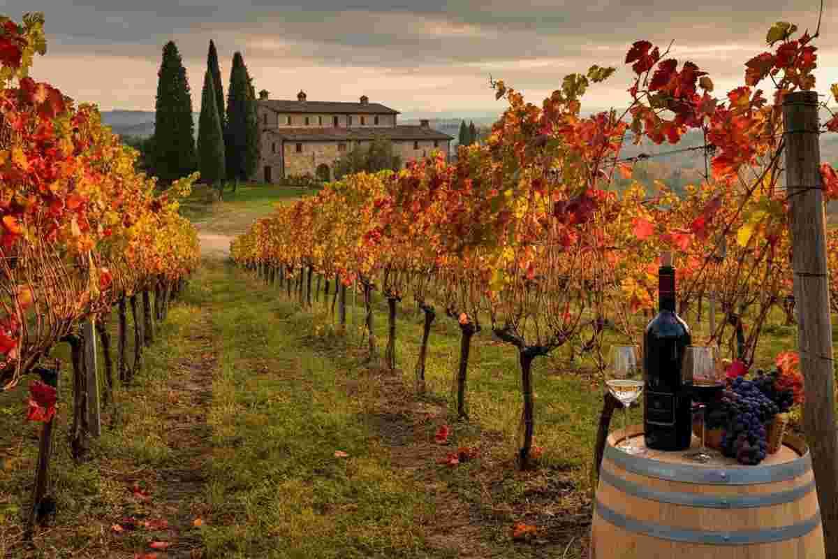 Scopri l'autunno del vino: undici giorni di Cantine Aperte a San Martino 2025