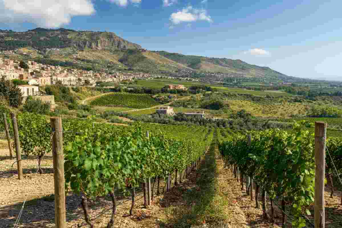 Scoprire la vera anima della Sicilia: il vino Cusumano in “Lürzer’s Archive”