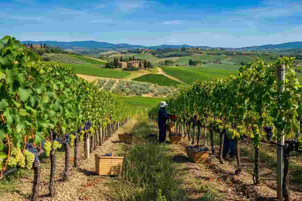 Toscana conquista il secondo posto nell'export vinicolo 2015, superata solo dal Veneto