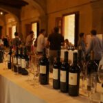 Toscana: un viaggio tra le eccellenze vinicole da non perdere