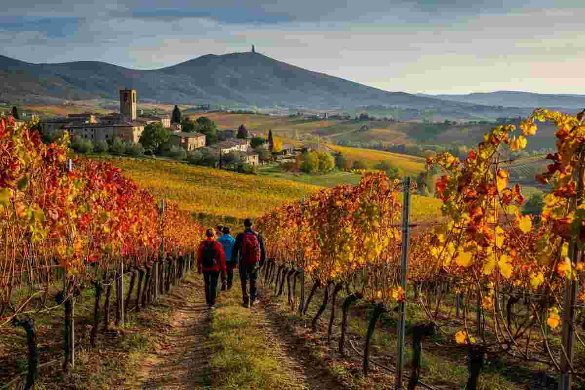 Umbria Wine Trekking 2025: un'avventura tra vigne e colline d'autunno
