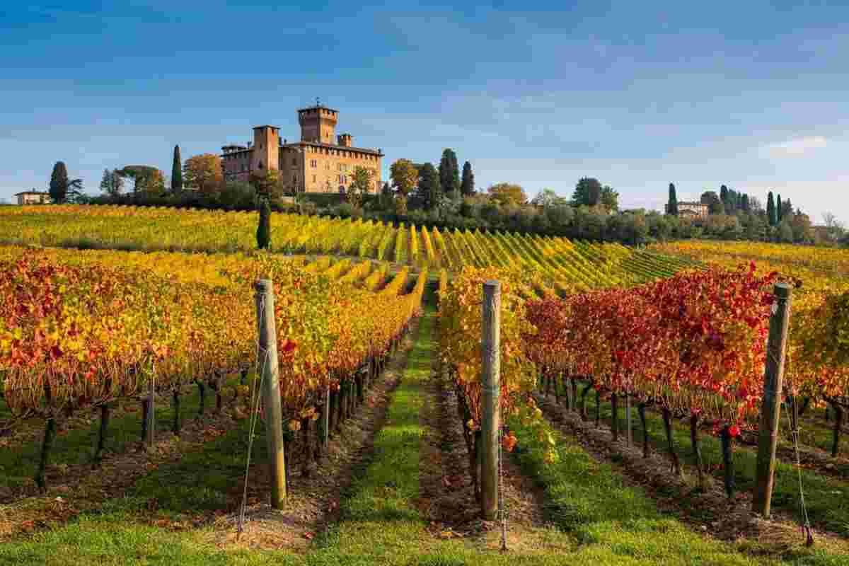 Un viaggio tra parole e vini: il concorso letterario di Go Wine compie 24 anni