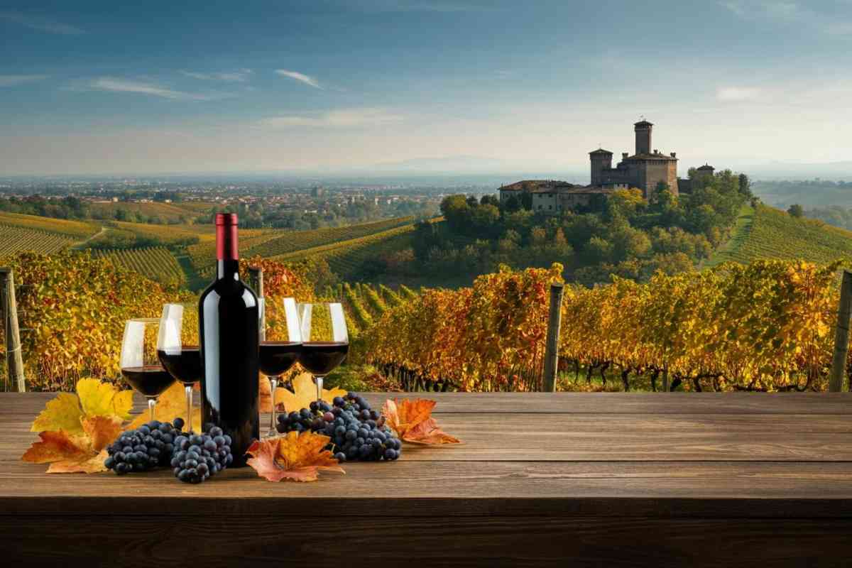 Un viaggio tra vino e parole: la 24ª edizione del concorso letterario di Go Wine