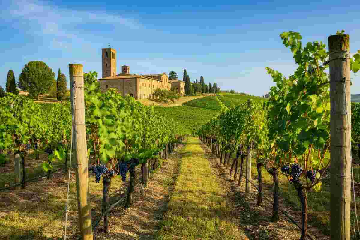 Unione Italiana Vini: nuovi fondi per l'internazionalizzazione e una vicepresidenza rinnovata