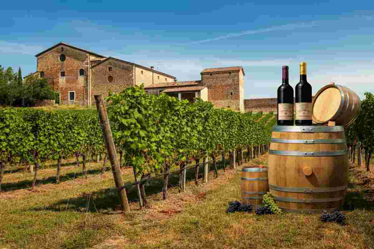 Veneto: l'export vinicolo sfiora i 3 miliardi nel 2024, un traguardo storico