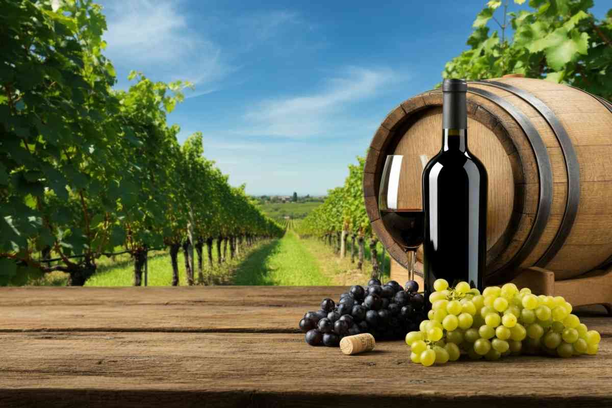 Veneto vinicolo: l'export verso il traguardo dei 3 miliardi nel 2024