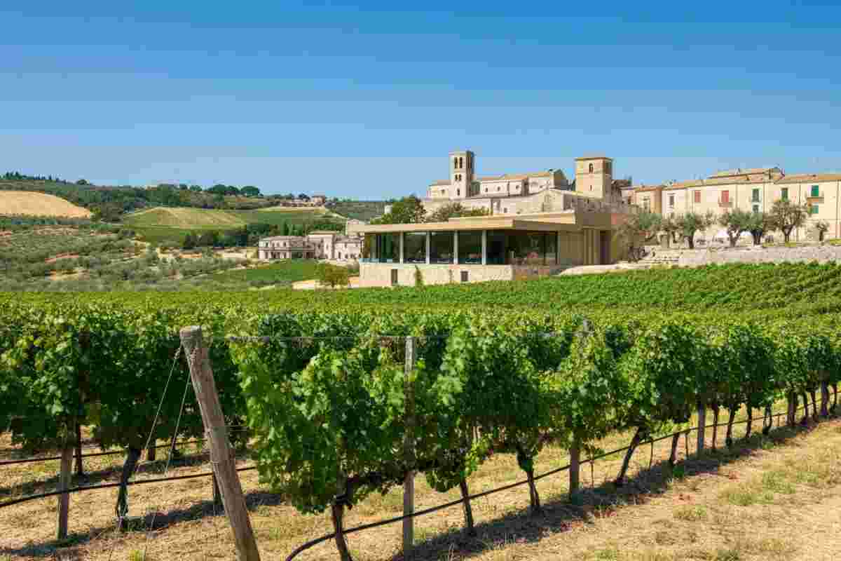 Venosa investe 3,4 milioni per rilanciare l'enoturismo nella sua cantina