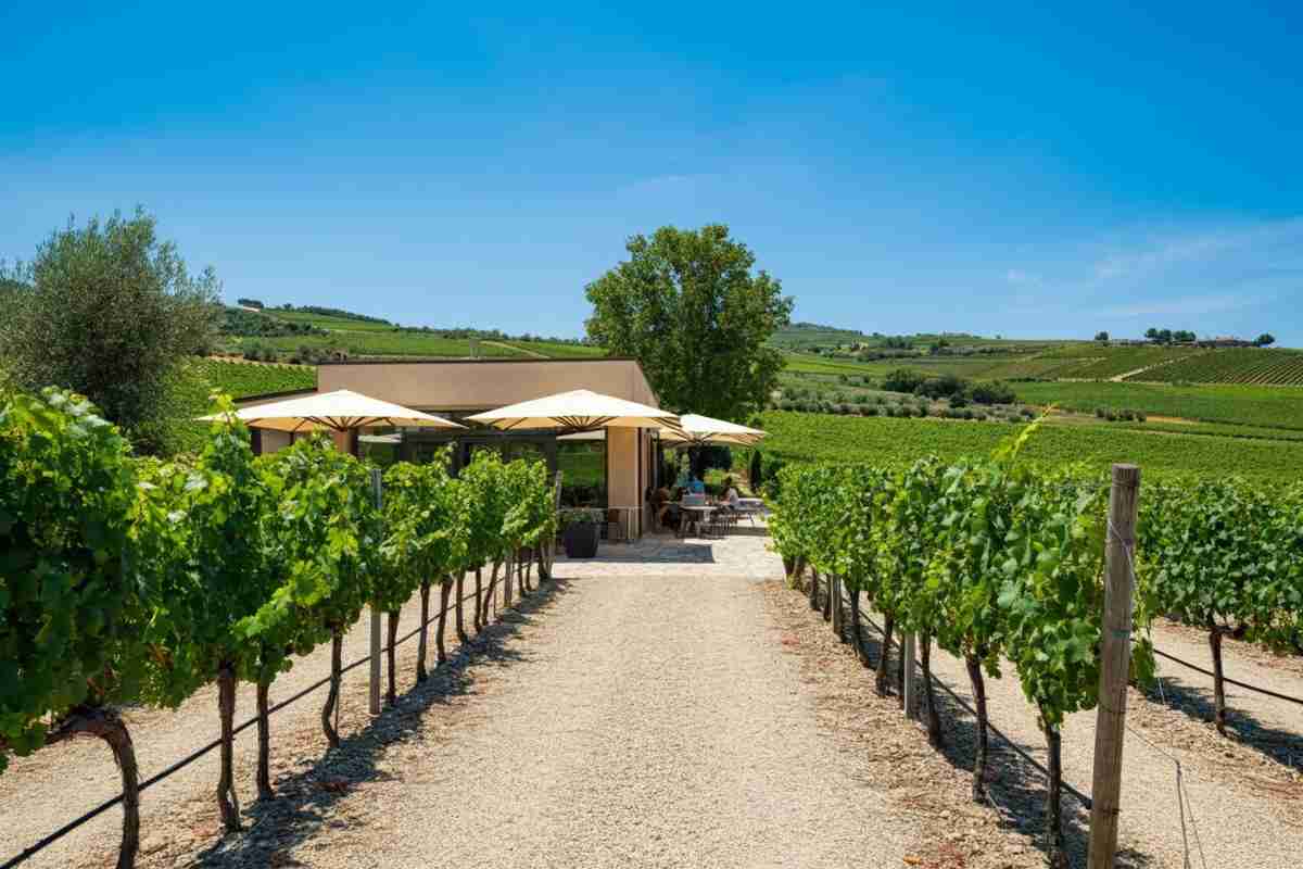 Venosa si prepara a conquistare il mondo del vino con un investimento di 3,4 milioni nell'enoturismo